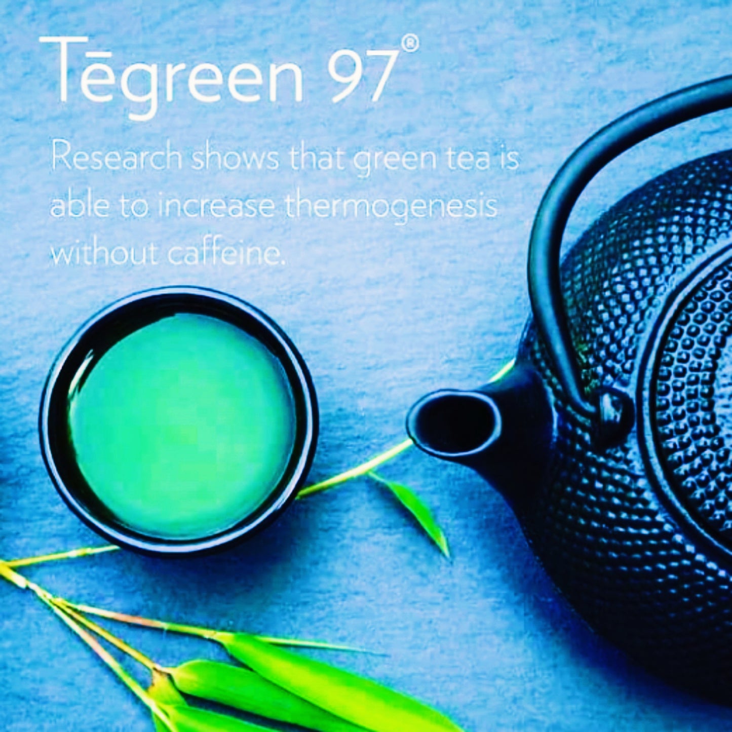 Tēgreen 97